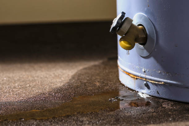 Best Local water damage restoration  in Richmond, KY
