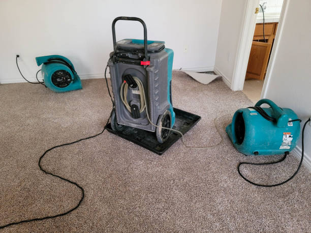 Best 24/7 water damage repair  in Richmond, KY