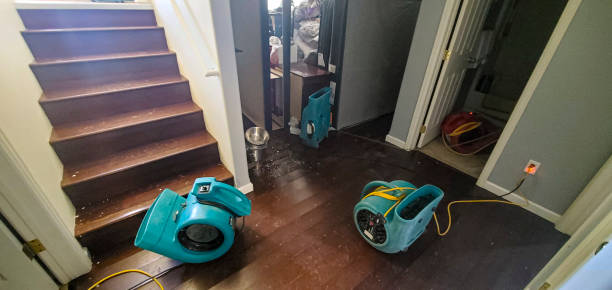 Best Sewage cleanup and water damage restoration  in Richmond, KY