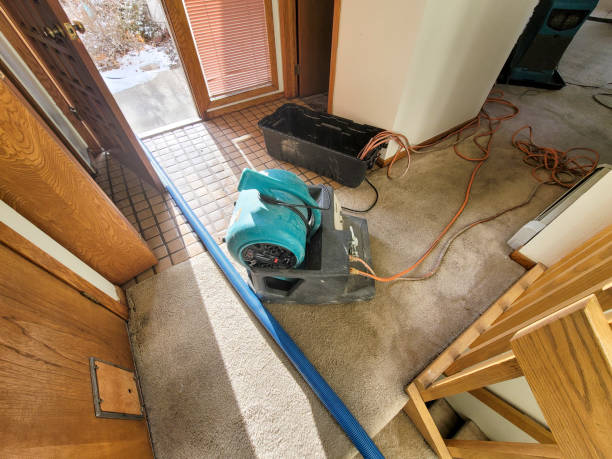 Best Water damage restoration cost  in Richmond, KY