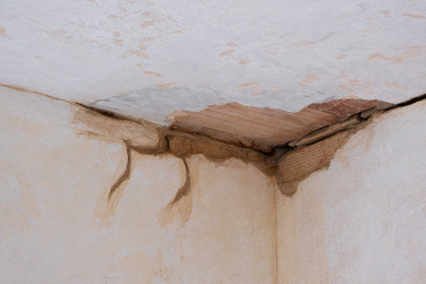 Best Flood restoration services  in Richmond, KY