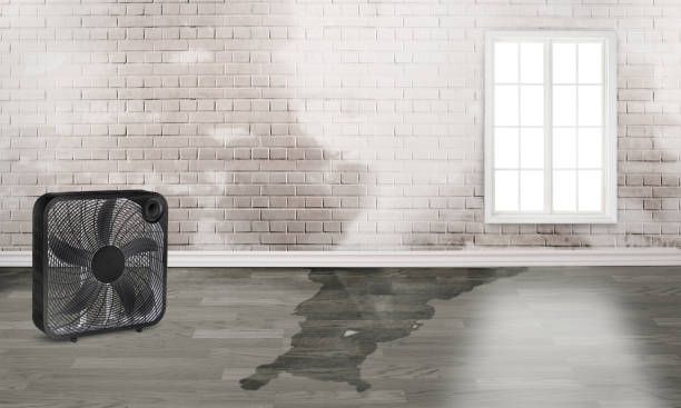 Best Sewage cleanup and water damage restoration  in Richmond, KY
