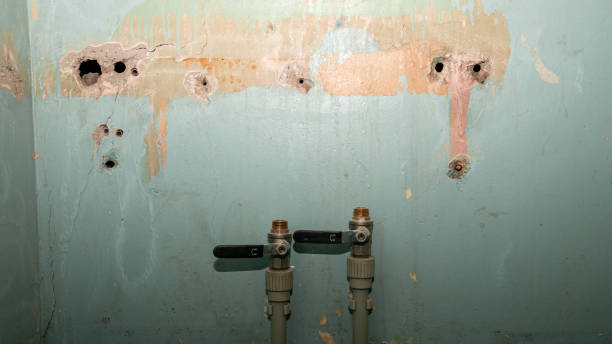 Best Fire Damage Restoration  in Richmond, KY