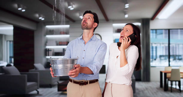 Best Flood damage cleanup  in Richmond, KY